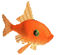Animatedgoldfish-36 1